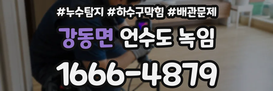 강동면 언수도 녹임