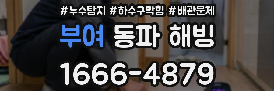 부여 동파 해빙