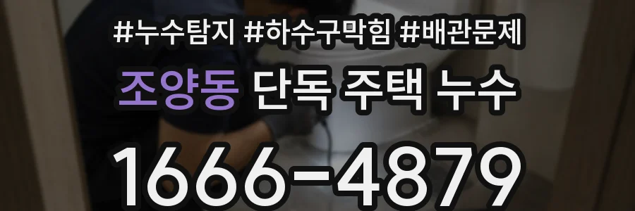 조양동 단독 주택 누수