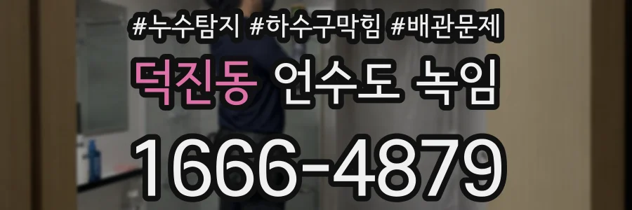 덕진동 언수도 녹임