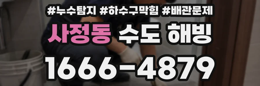 사정동 수도 해빙