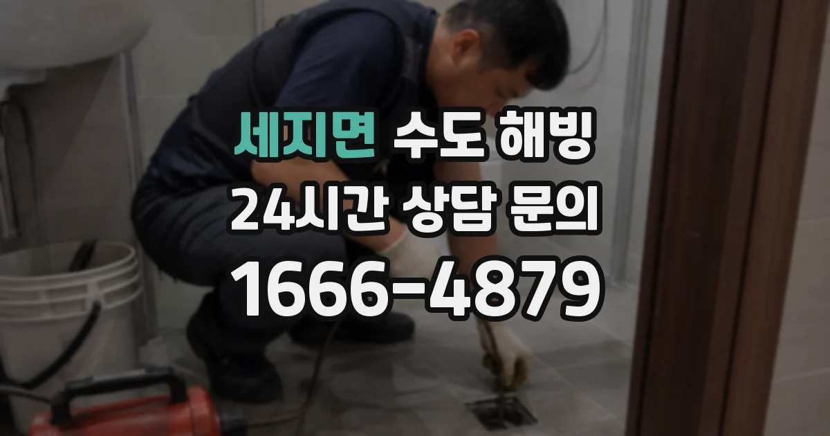 세지면 수도 해빙