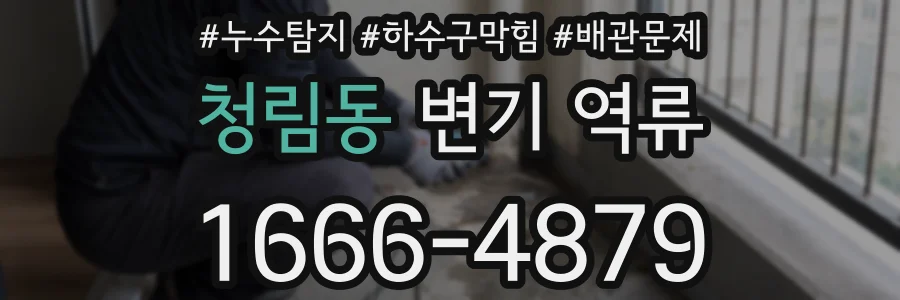 청림동 변기 역류