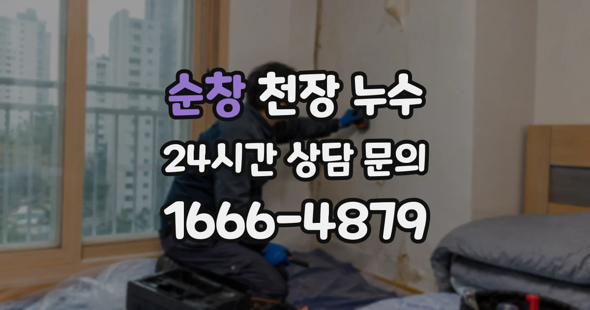 순창 천장 누수