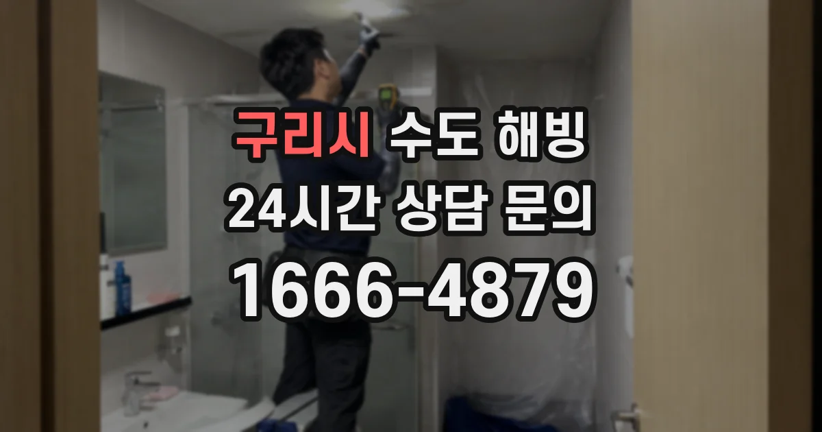 구리시 수도 해빙