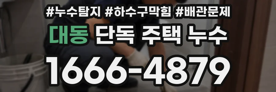 대동 단독 주택 누수