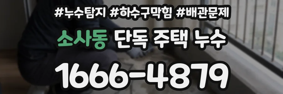 소사동 단독 주택 누수