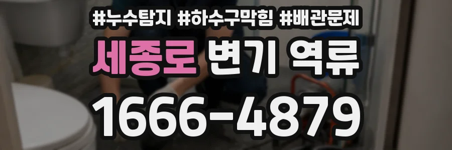 세종로 변기 역류