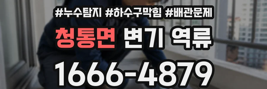 청통면 변기 역류