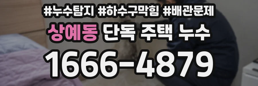 상예동 단독 주택 누수