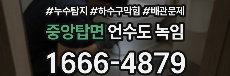 중앙탑면 언수도 녹임