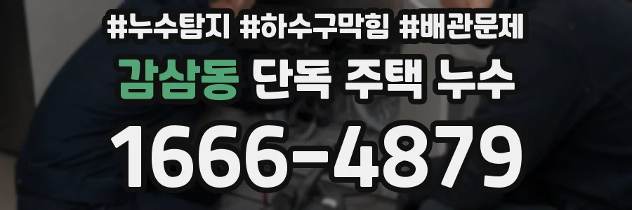 감삼동 단독 주택 누수