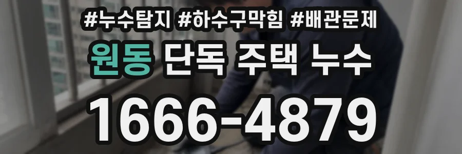 원동 단독 주택 누수