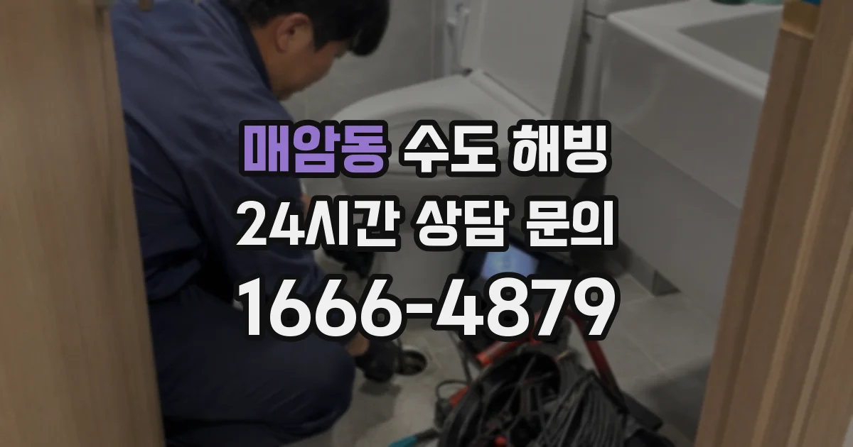 매암동 수도 해빙