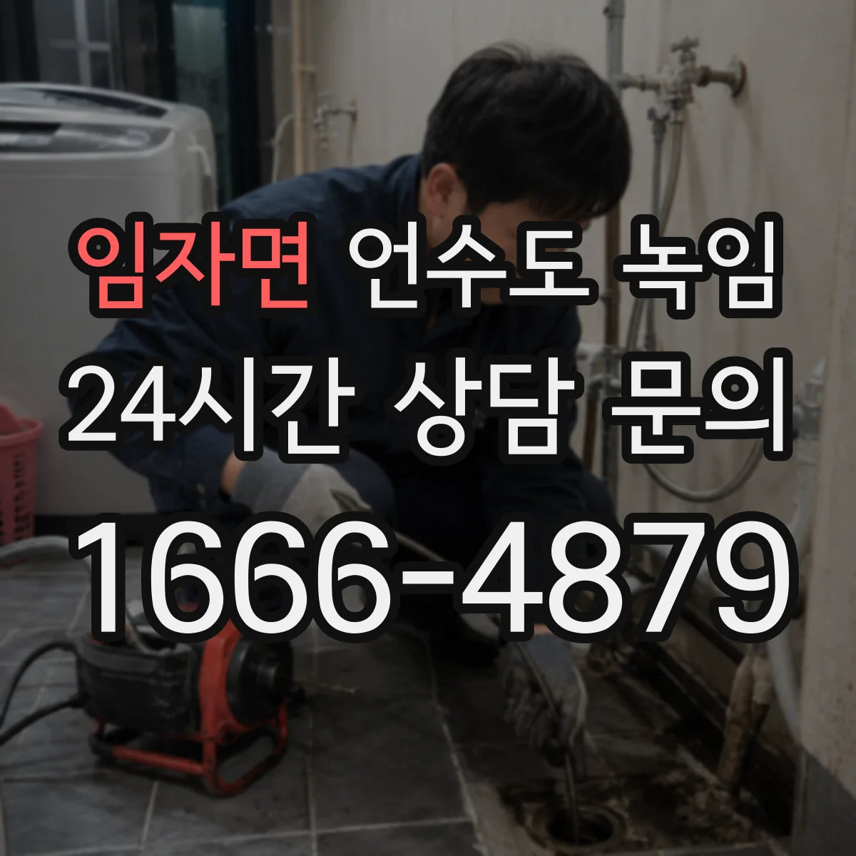 임자면 언수도 녹임