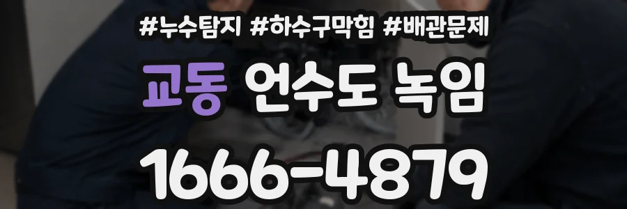 교동 언수도 녹임