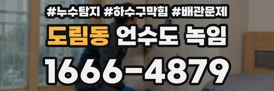 도림동 언수도 녹임