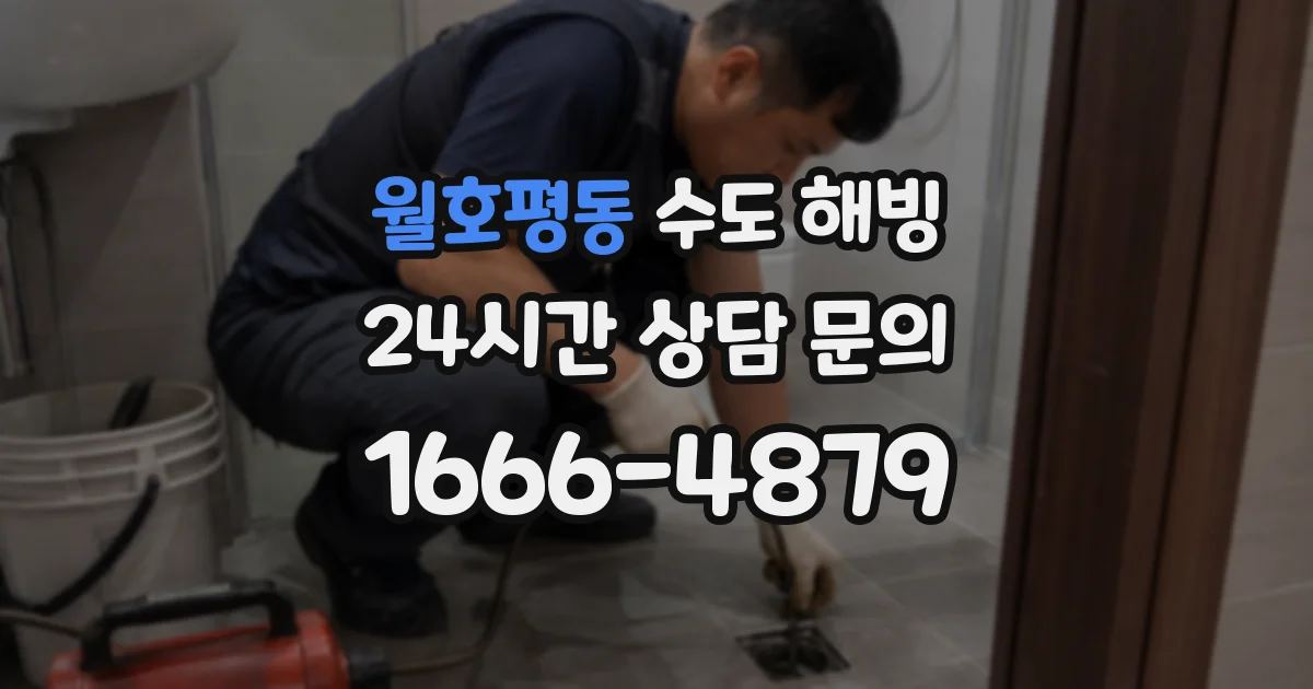 월호평동 수도 해빙