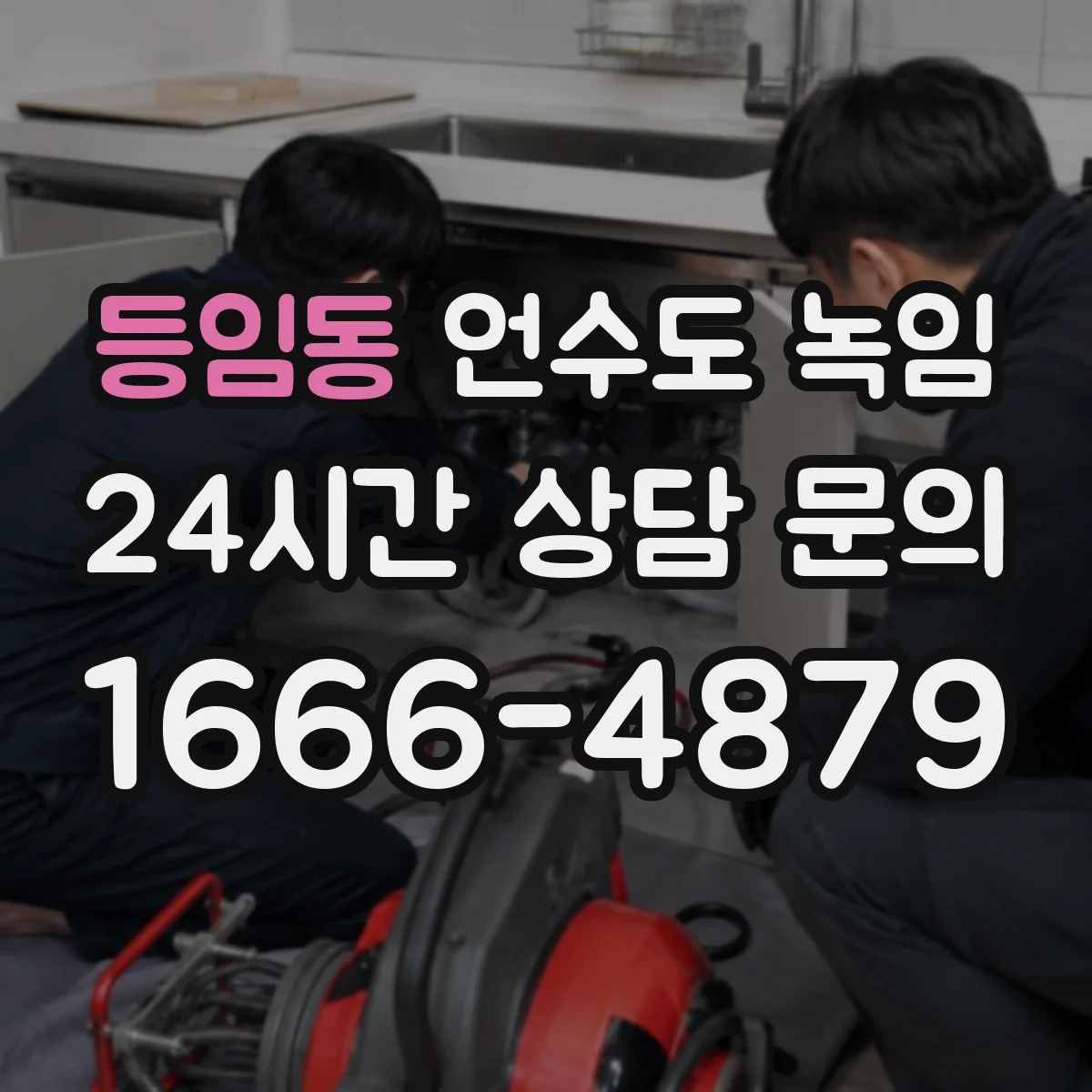 등임동 언수도 녹임
