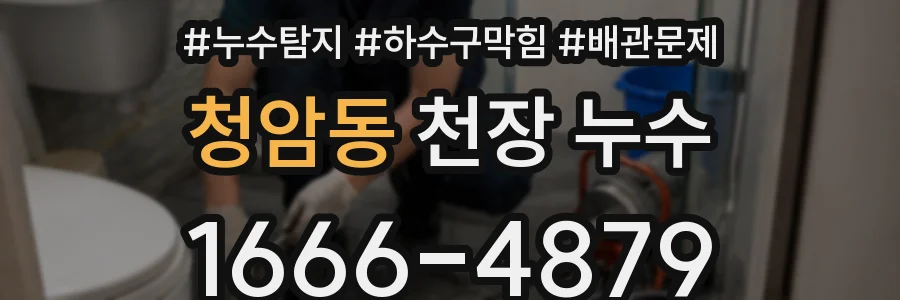 청암동 천장 누수