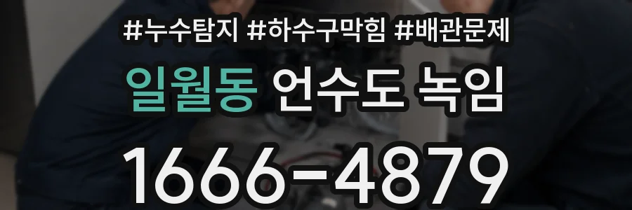 일월동 언수도 녹임