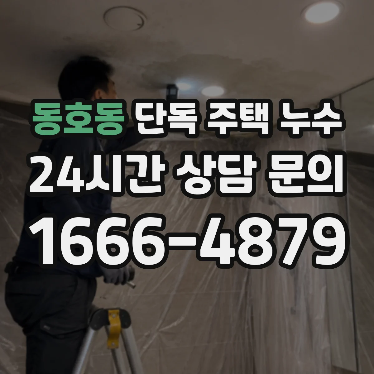 동호동 단독 주택 누수