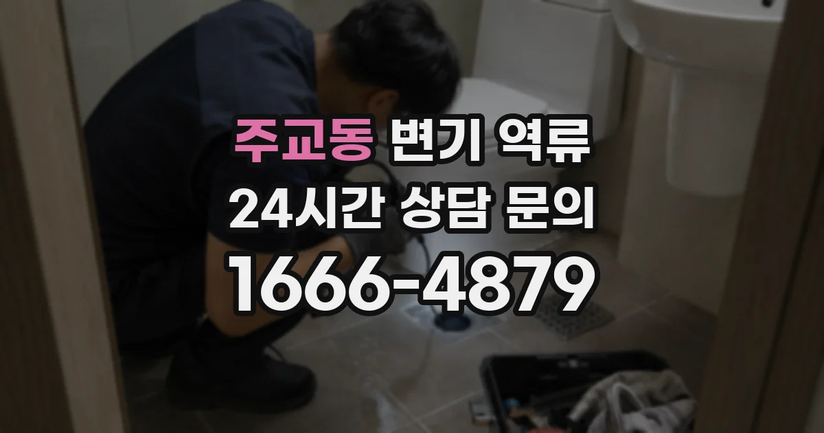 주교동 변기 역류