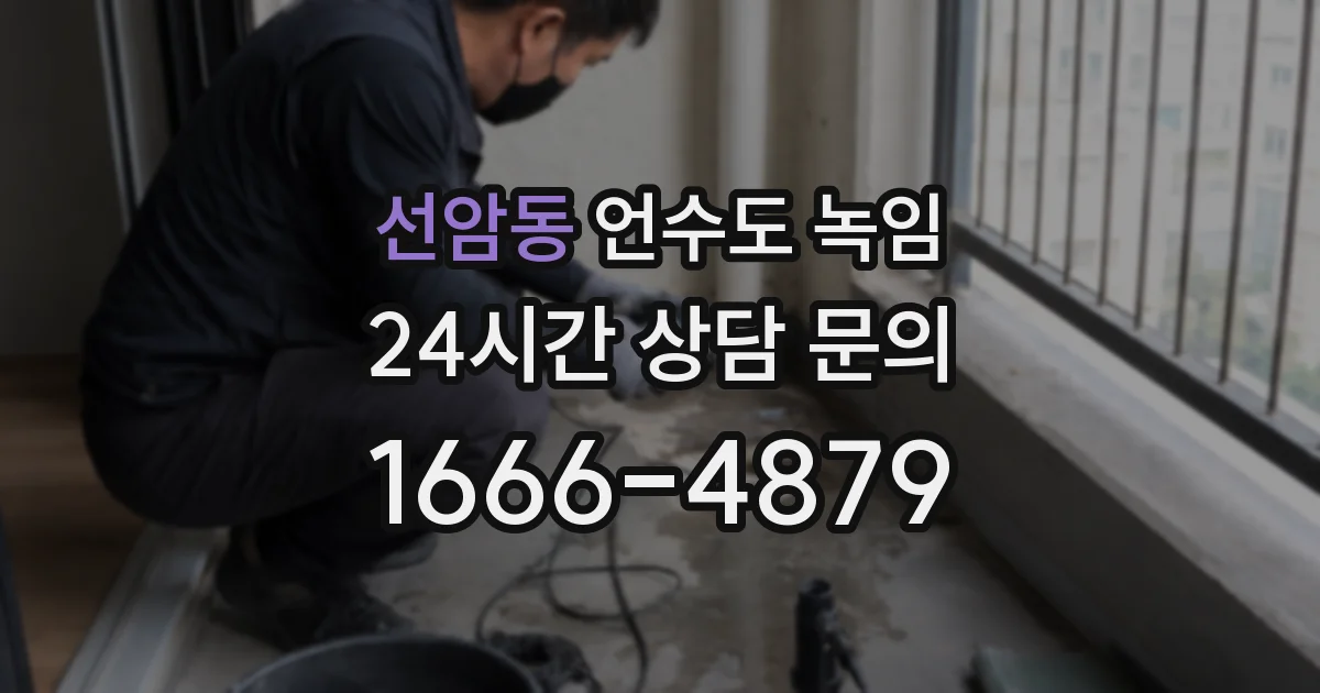 선암동 언수도 녹임