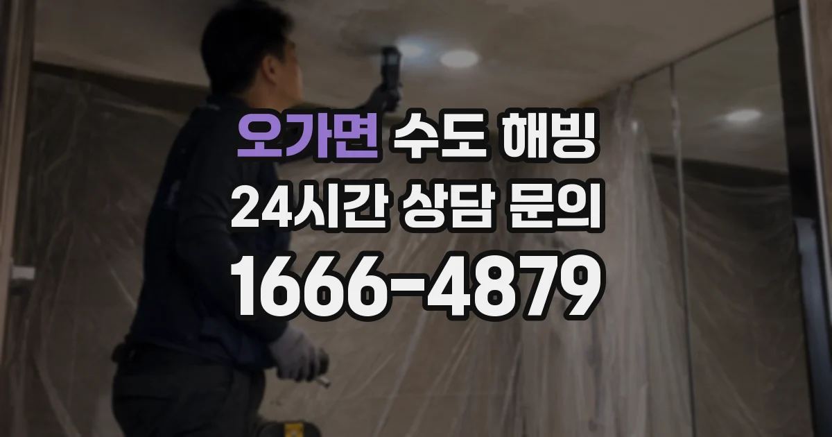 오가면 수도 해빙