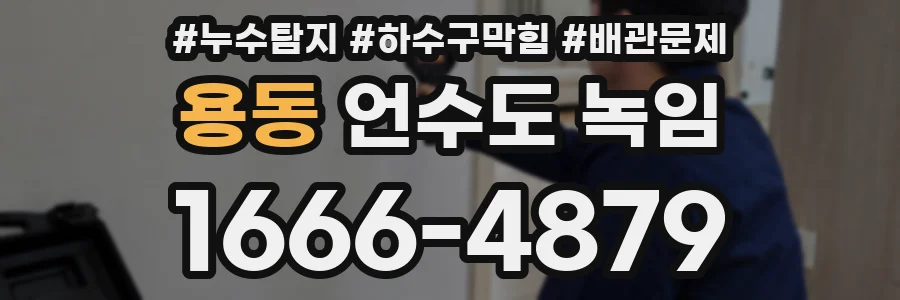 용동 언수도 녹임