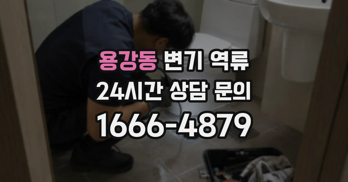 용강동 변기 역류