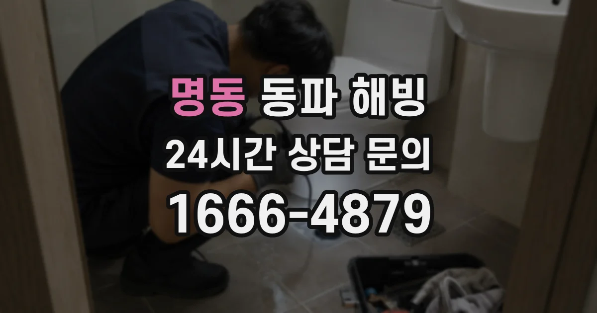 명동 동파 해빙