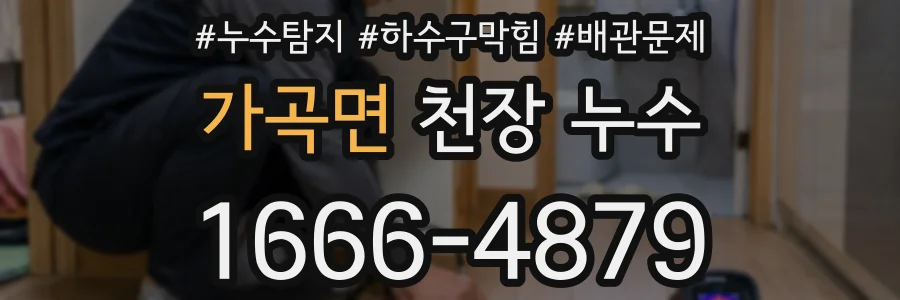 가곡면 천장 누수