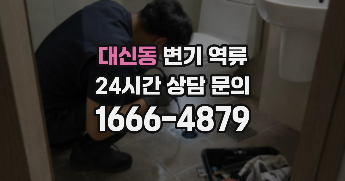 대신동 변기 역류