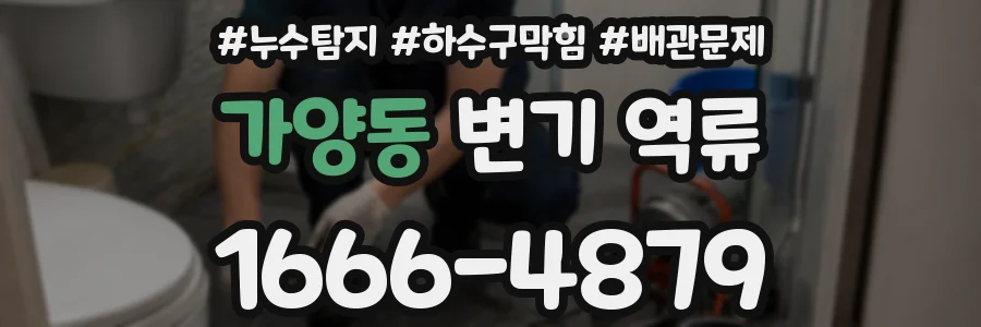 가양동 변기 역류