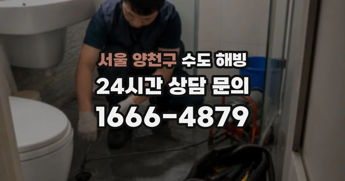 서울 양천구 수도 해빙