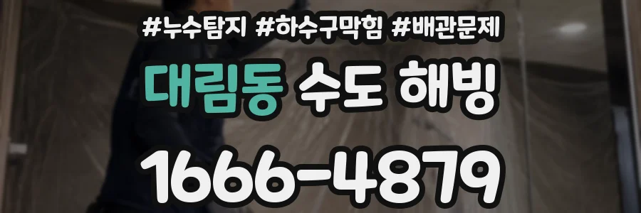 대림동 수도 해빙