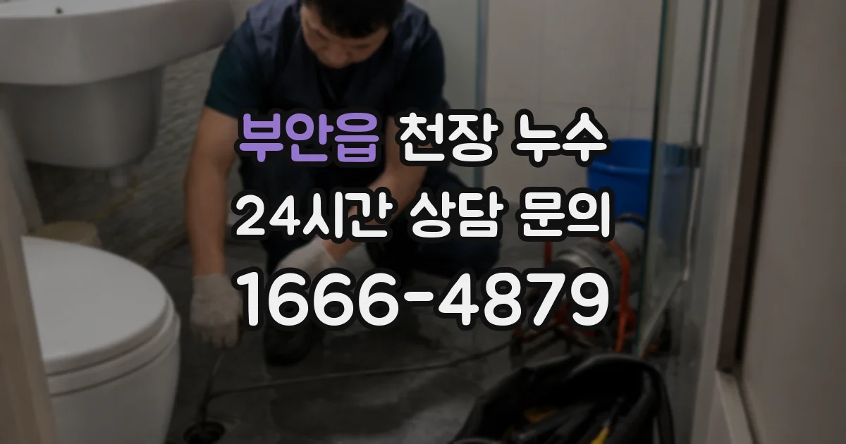 부안읍 천장 누수