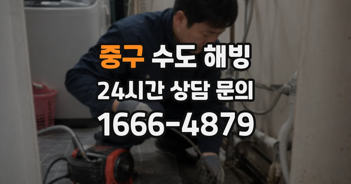 중구 수도 해빙