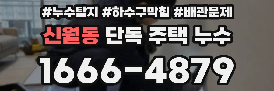신월동 단독 주택 누수