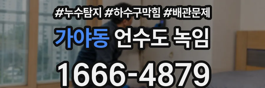 가야동 언수도 녹임