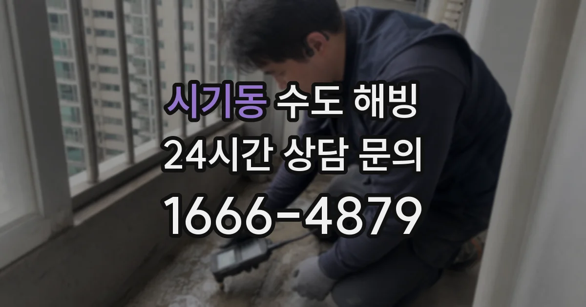 시기동 수도 해빙