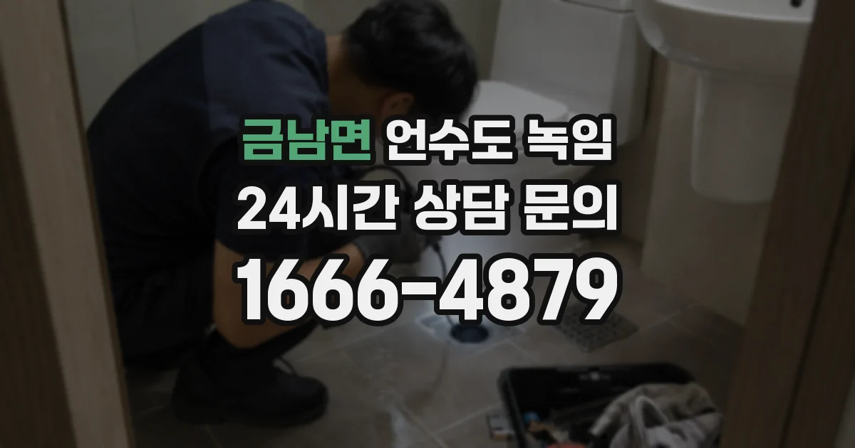금남면 언수도 녹임