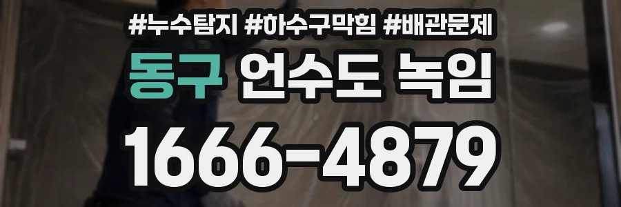 동구 언수도 녹임