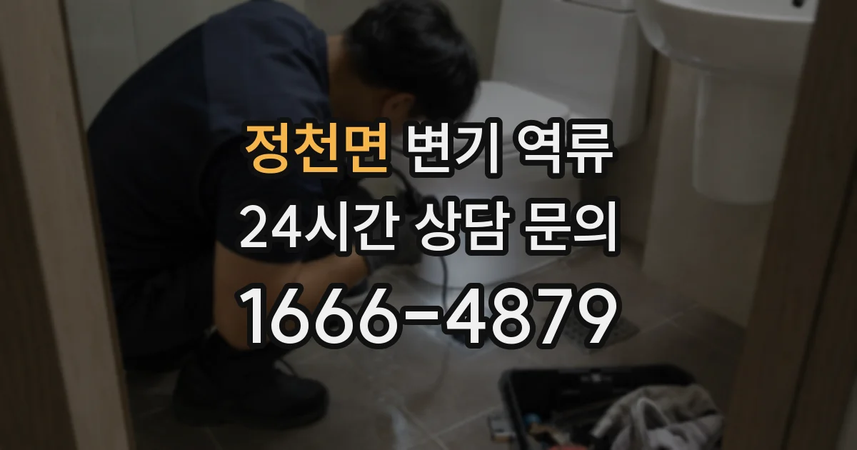 정천면 변기 역류