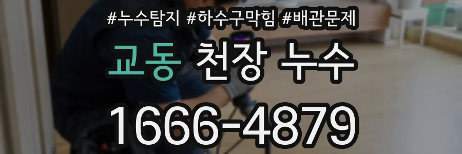 교동 천장 누수