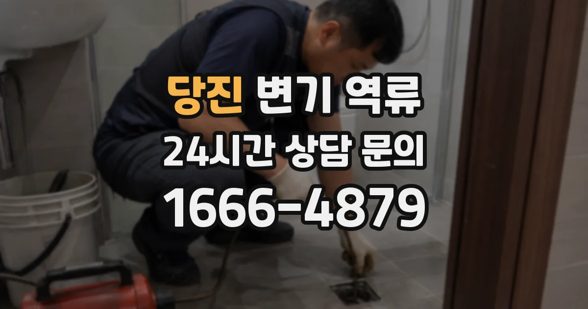 당진 변기 역류