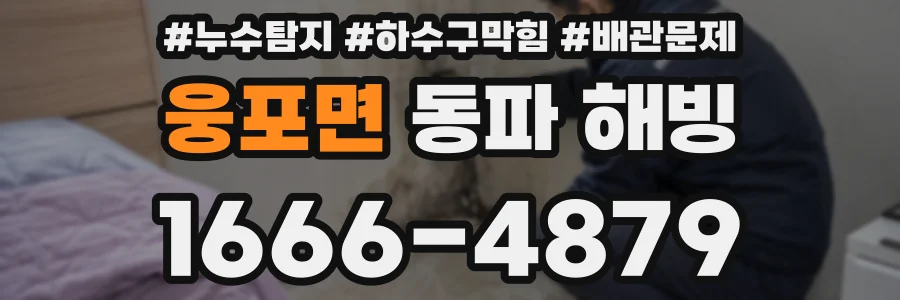 웅포면 동파 해빙