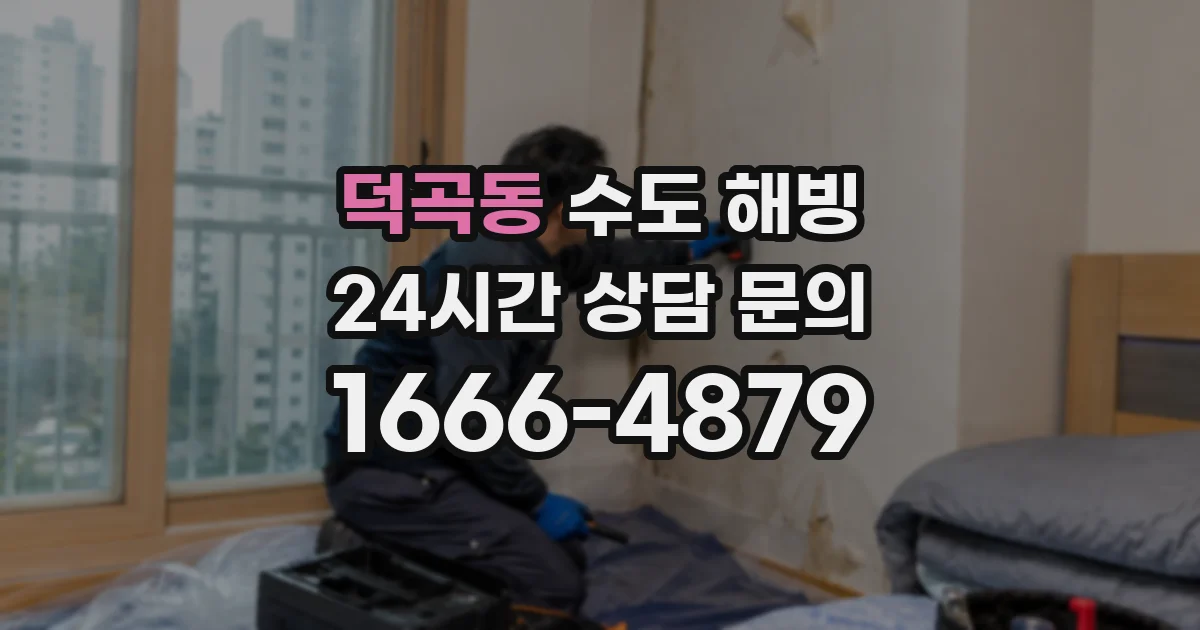 덕곡동 수도 해빙