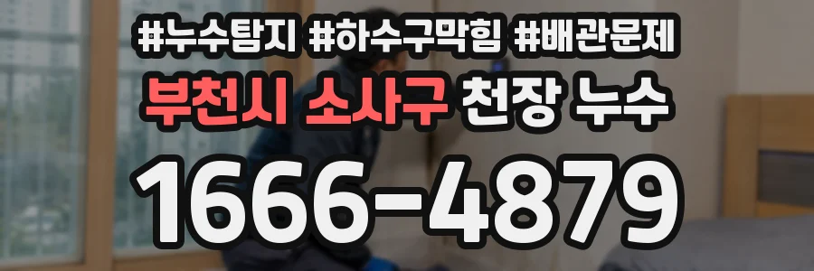 부천시 소사구 천장 누수